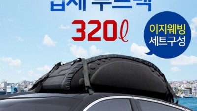 내 차에 딱! 득템한 승용차 루프백 후기 & 꿀팁 대방출🎁