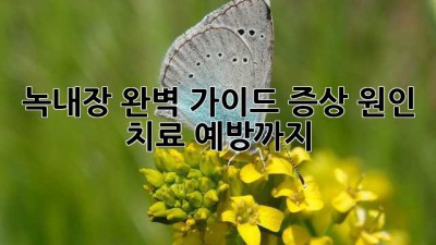녹내장 완벽 가이드: 증상, 원인, 치료, 예방까지!