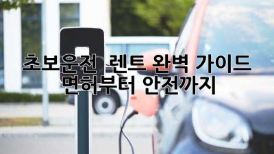 초보운전 🚗 렌트 완벽 가이드: 면허부터 안전까지!